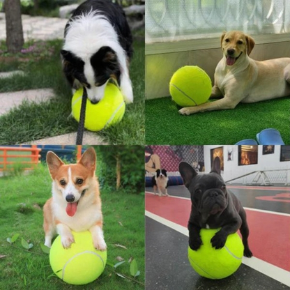 MegaFetch™ Giant Dog Ball