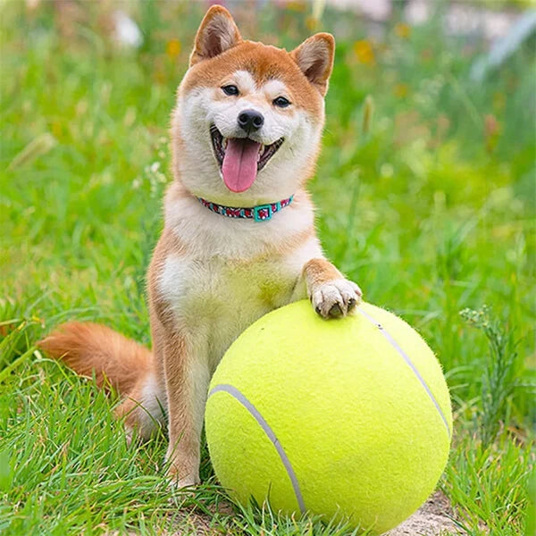 MegaFetch™ Giant Dog Ball