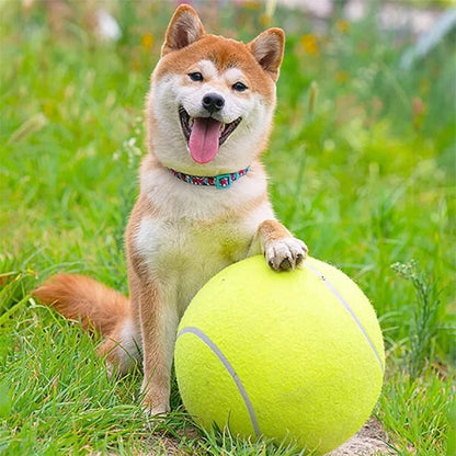 MegaFetch™ Giant Dog Ball